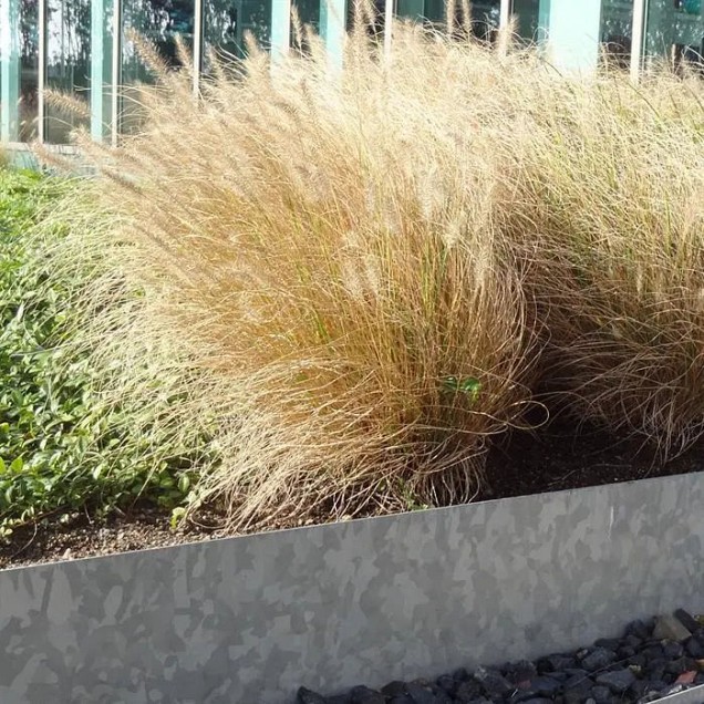Stalen kantopsluiting (verzinkt) met geplette rand 230x15 cm. (2 mm.) ~