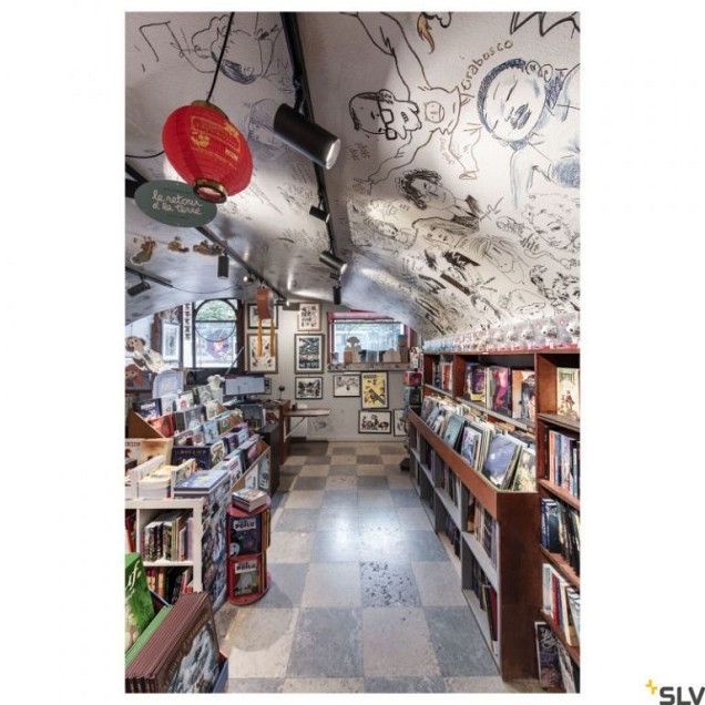 NUMINOS PHASE L zw/zw 36gr 1xLED 2700K, 3-fase ~