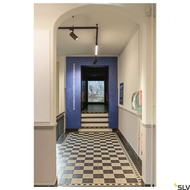 NUMINOS PHASE L zw/zw 36gr 1xLED 4000K, 3-fase ~