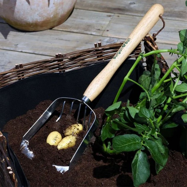 RHS Aardappelschepje ~