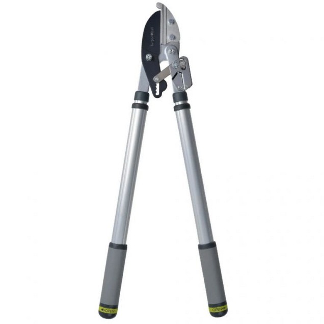 Telescopische takkenschaar aambeeld ~