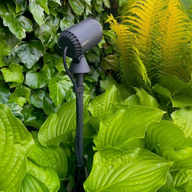 LightPro - Multispike ~