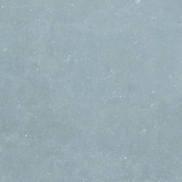 Malmo Belgian Blue