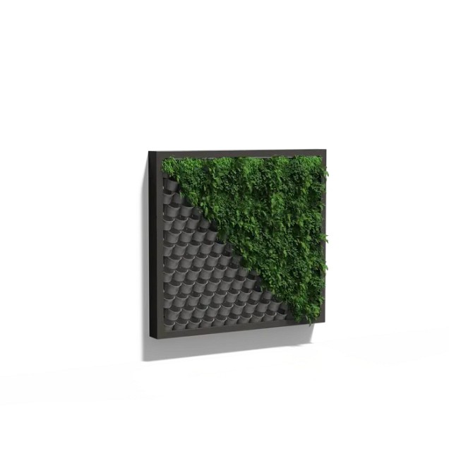 Groen muursysteem verticaal