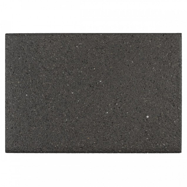 Terrastegel 40x60x3.9 cm Antraciet - met C-Protect ~