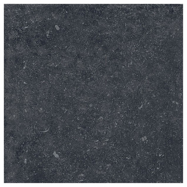 Keramische tegel 60x60 R Brussels Black ~