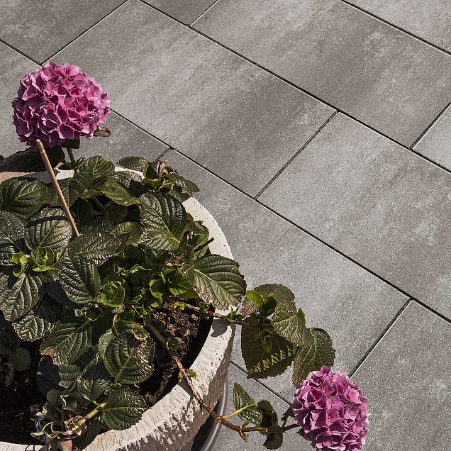 Smartton XXS Linea 60x30x4 cm. Amiata ~
