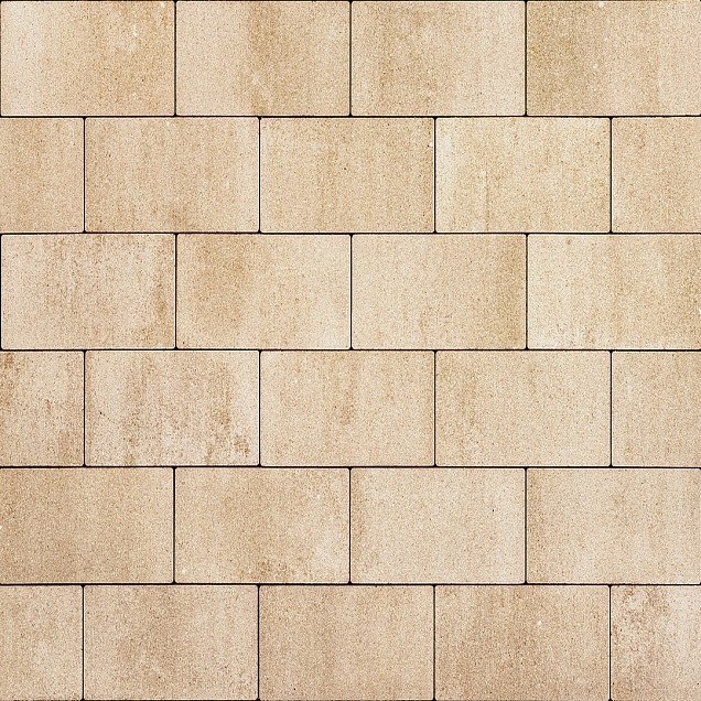 Premiton 20x30x6 cm Ibiza ~