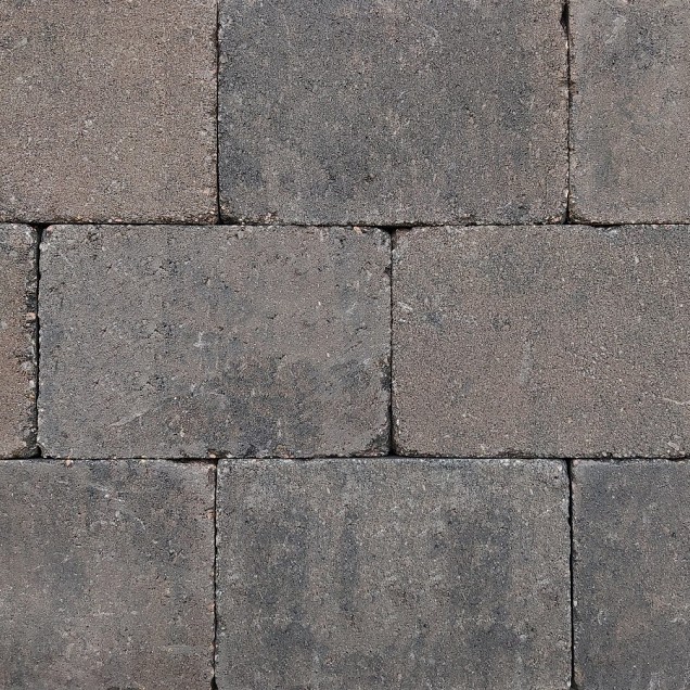 Rough Paving 20x30x5 Rolde ~