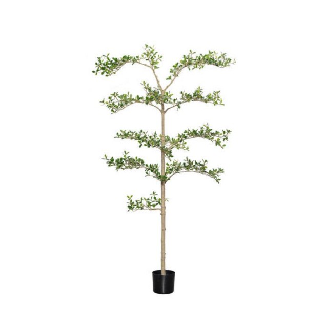 Pottery Pots kunstplant Buchida Buceras Shady Lady Tree L ØxH 48x180 cm. ~