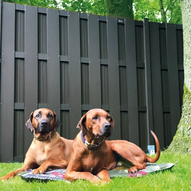 Aluminium paal met kap 68x68x2720mm met houten kern 2700mm [antra.gepoedercoat] bc ~