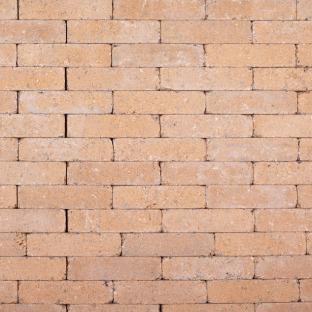 Actionline Wieze Cream 20x5x7 cm. ~