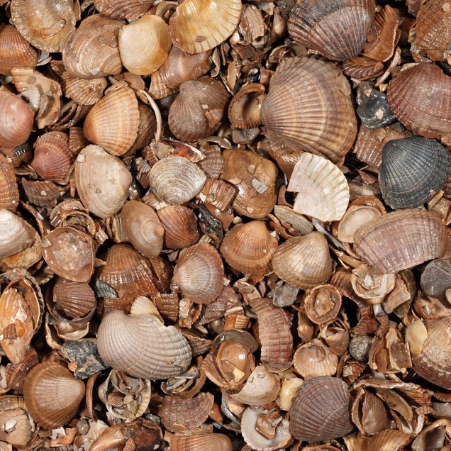 Schelpen 3-20 mm. zak á 13,5 ltr ~