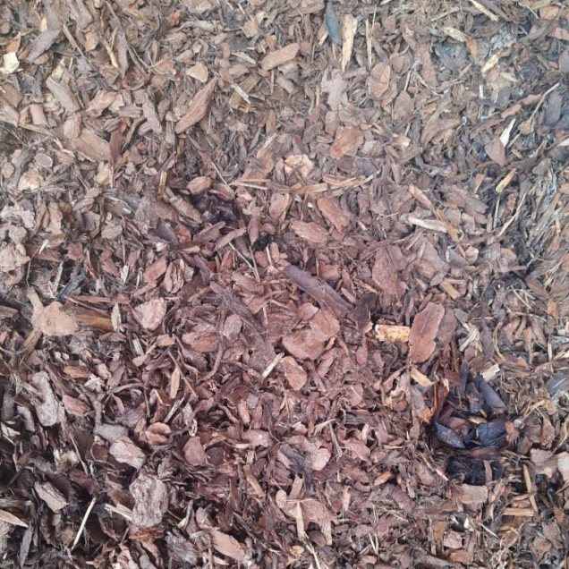 Boomschors Nederlandse Grove Den 10-20 mm.