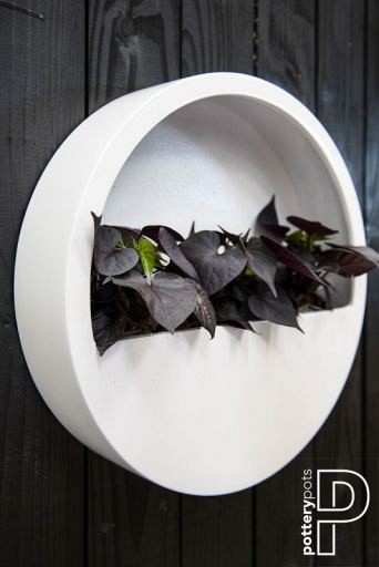 Pottery Pots plantenbak Wally (hanging) M Matte White (øxh) 50x10 cm. ~