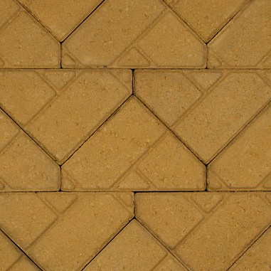 Bisschopsmuts geel 29,5x21/10,5x8 cm. ~