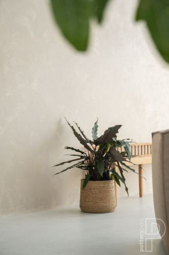 Pottery Pots plantenbak Patt L Straw Grass ø35x30 cm ~