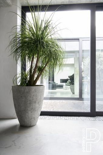 Pottery Pots plantenbak Oliver L Imperial White ø70x83 cm ~