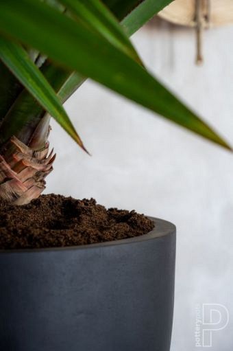 Pottery Pots plantenbak Jesslyn S Black hoogte: 44 diameter: 50~