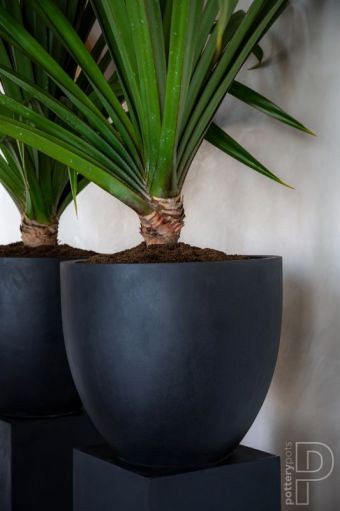 Pottery Pots plantenbak Jesslyn S Black hoogte: 44 diameter: 50~