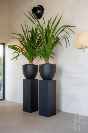 Pottery Pots plantenbak Jumbo Round L Black hoogte: 97 diameter: 112x112~