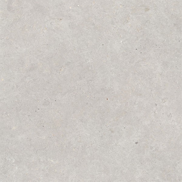 Zaragoza Grey