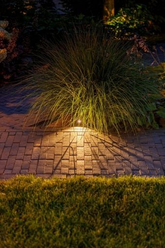 LightPro - Tiga DL - LED 5,5W - 12V ~