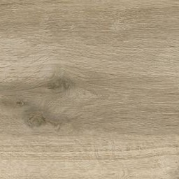 Chivay Oak