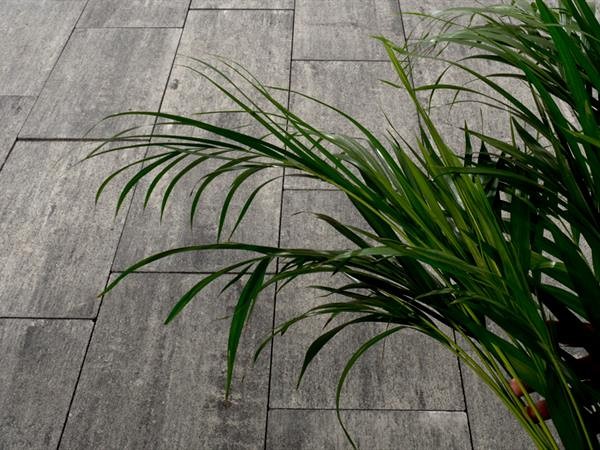 Excellent strak ZF Mont-AnticoNoir 60x60x5 cm. ~