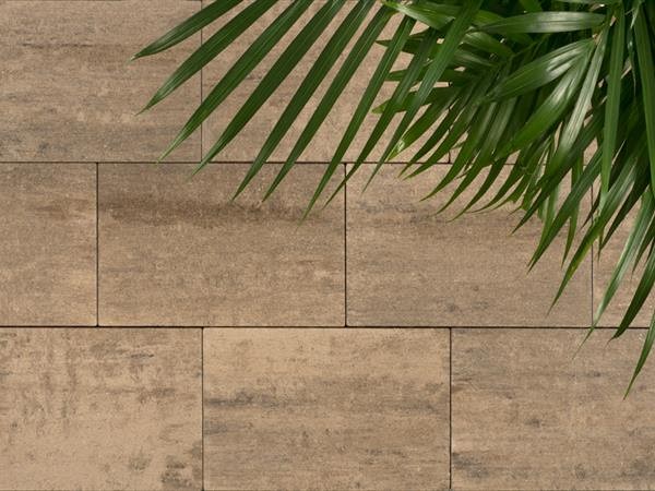 Excellent strak ZF Mont-Chocomon 60x60x5 cm. ~
