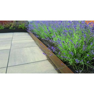 Mevosteel Basic Edge LxH 225x30,5 cm. Dikte 3 mm. ongecoat (Corten) ~