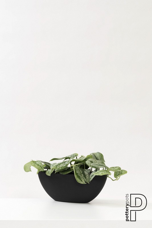Pottery Pots plantenbak Mini Dorant Wally L Black (lxbxh) 43x17x17 cm. ~