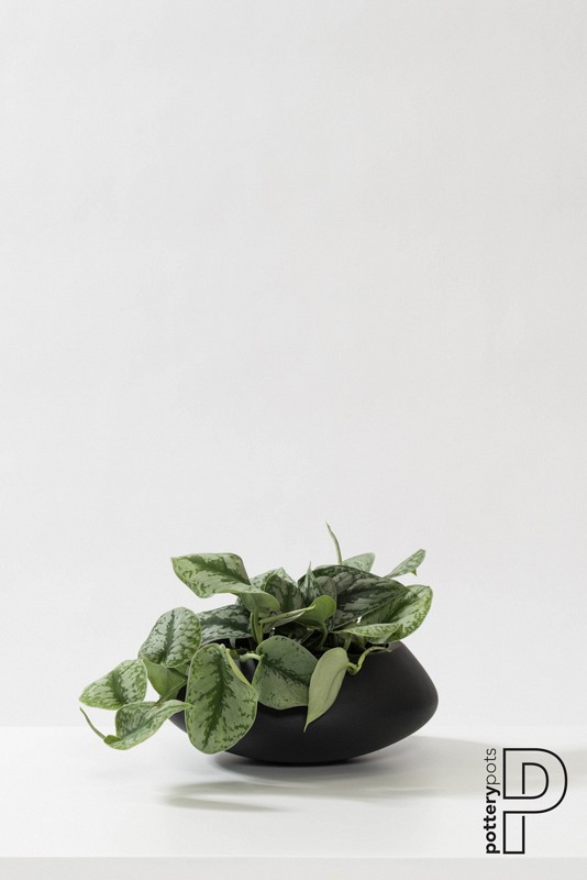 Pottery Pots plantenbak Mini Tara Wally XS Black (lxbxh) 17x30x12 cm. ~