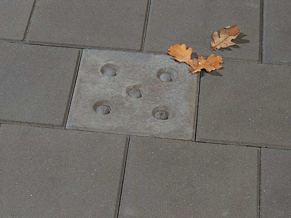 Boomtegel 30x30x6 met facet met gaten (stoeptegel) ~