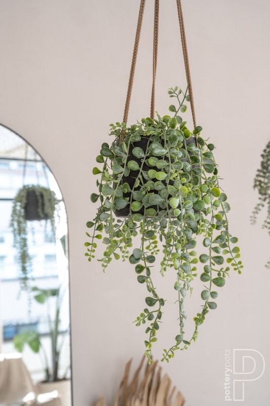 Pottery Pots plantenbak Patt S (hanging) Black Washed ø13.5x11 cm ~