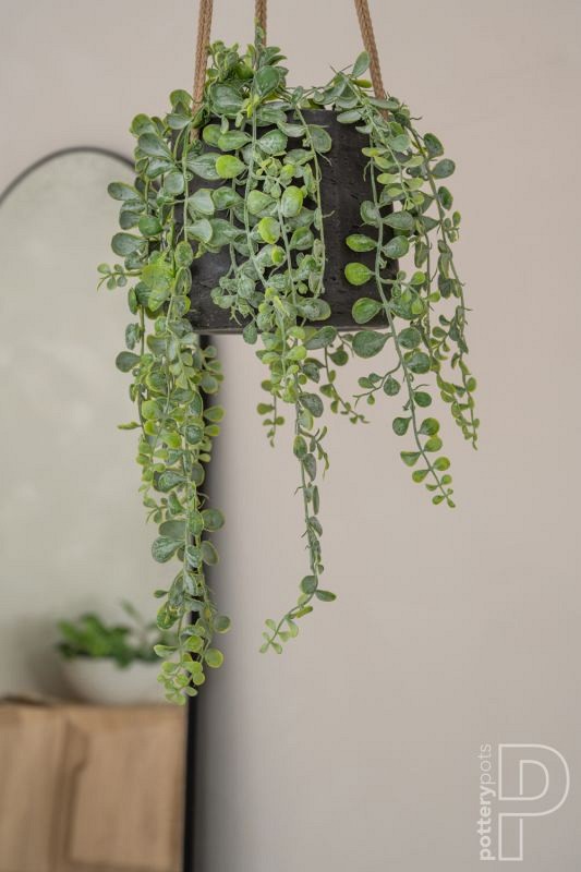 Pottery Pots plantenbak Patt S (hanging) Black Washed ø13.5x11 cm ~