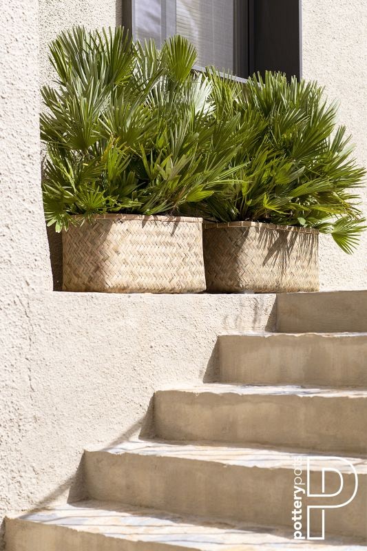 Pottery Pots plantenbak Rafi S Bamboo 60x30x31 cm ~