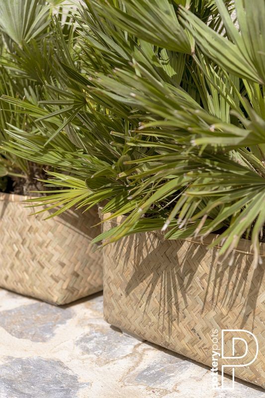 Pottery Pots plantenbak Rafi S Bamboo (lxbxh) 60x30x31 cm. ~