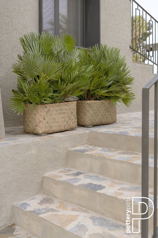 Pottery Pots plantenbak Rafi S Bamboo 60x30x31 cm ~