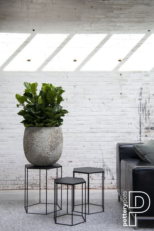 Pottery Pots plantenbak Gillard S Imperial White ø45x45 cm ~