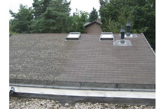 Biomix Pro ATM (5L) atmosferische buitenreiniger ~