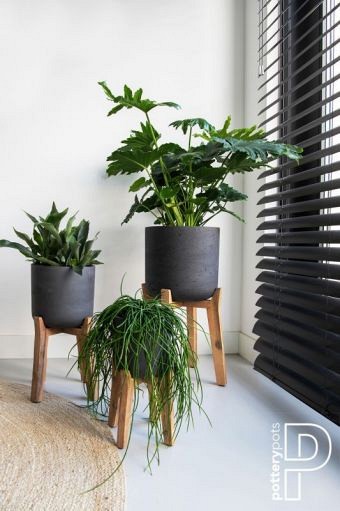 Pottery Pots plantenbak Charlie M (Feet High) Black Washed ø23.5x38 cm ~