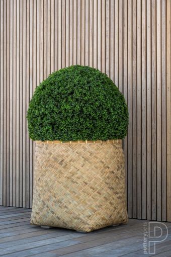 Pottery Pots kunstplant Boxwood XS Green ØxH 40x40 cm. ~