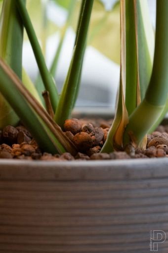 Pottery Pots plantenbak Dice XS Horizontal Ridged Grey hoogte: 25 diameter: 28~