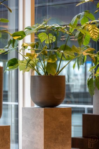 Pottery Pots plantenbak Dice XS Horizontal Ridged Grey hoogte: 25 diameter: 28~