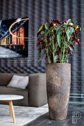 Pottery Pots plantenbak Dax XXL Imperial Brown ø46x118 cm ~