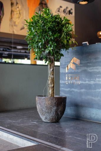 Pottery Pots plantenbak Jesslyn XS Imperial Brown ø42x36 cm ~