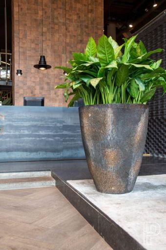 Pottery Pots plantenbak Oscar XL Imperial Brown ø72x105 cm ~