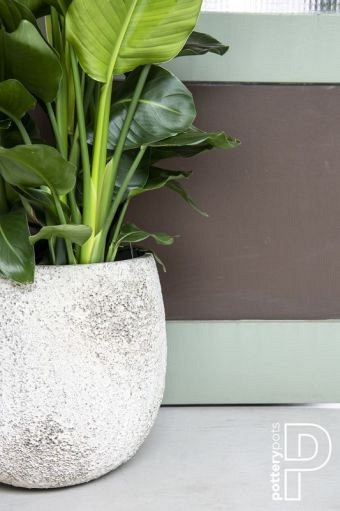 Pottery Pots plantenbak Gillard S Imperial White ø45x45 cm ~