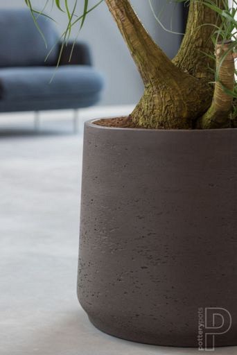 Pottery Pots plantenbak Patt L Black Washed hoogte: 165 diameter: 20~